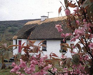 Connemara Country Cottages Glentrasna Buitenkant foto